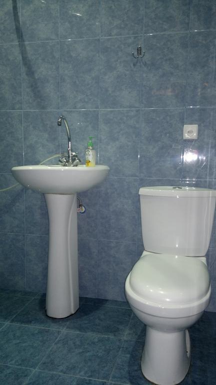 Guest House Besarioni Borjomi Quarto foto