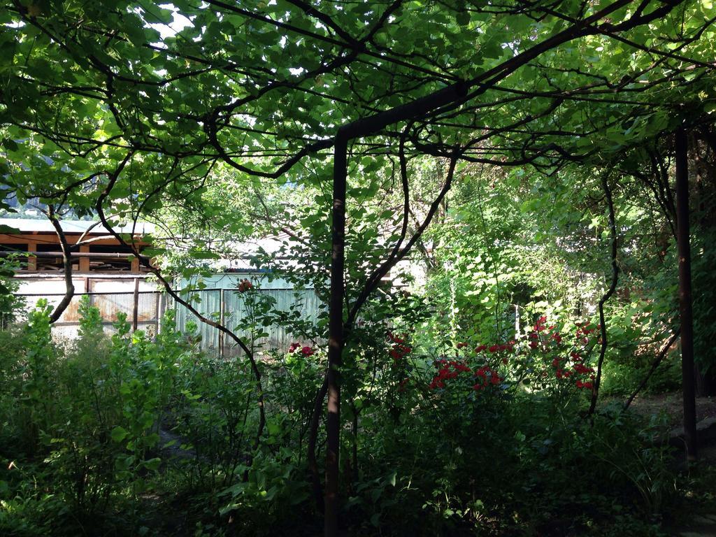 Guest House Besarioni Borjomi Exterior foto
